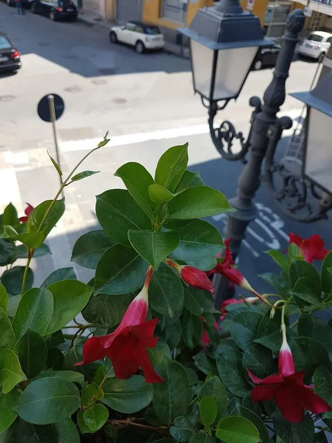 Hotel Central Milazzo 2*,